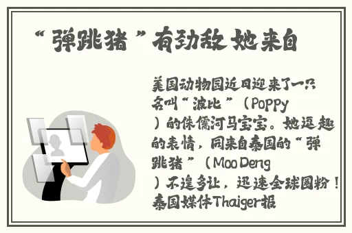 爸爸让我COD妈妈第一评书